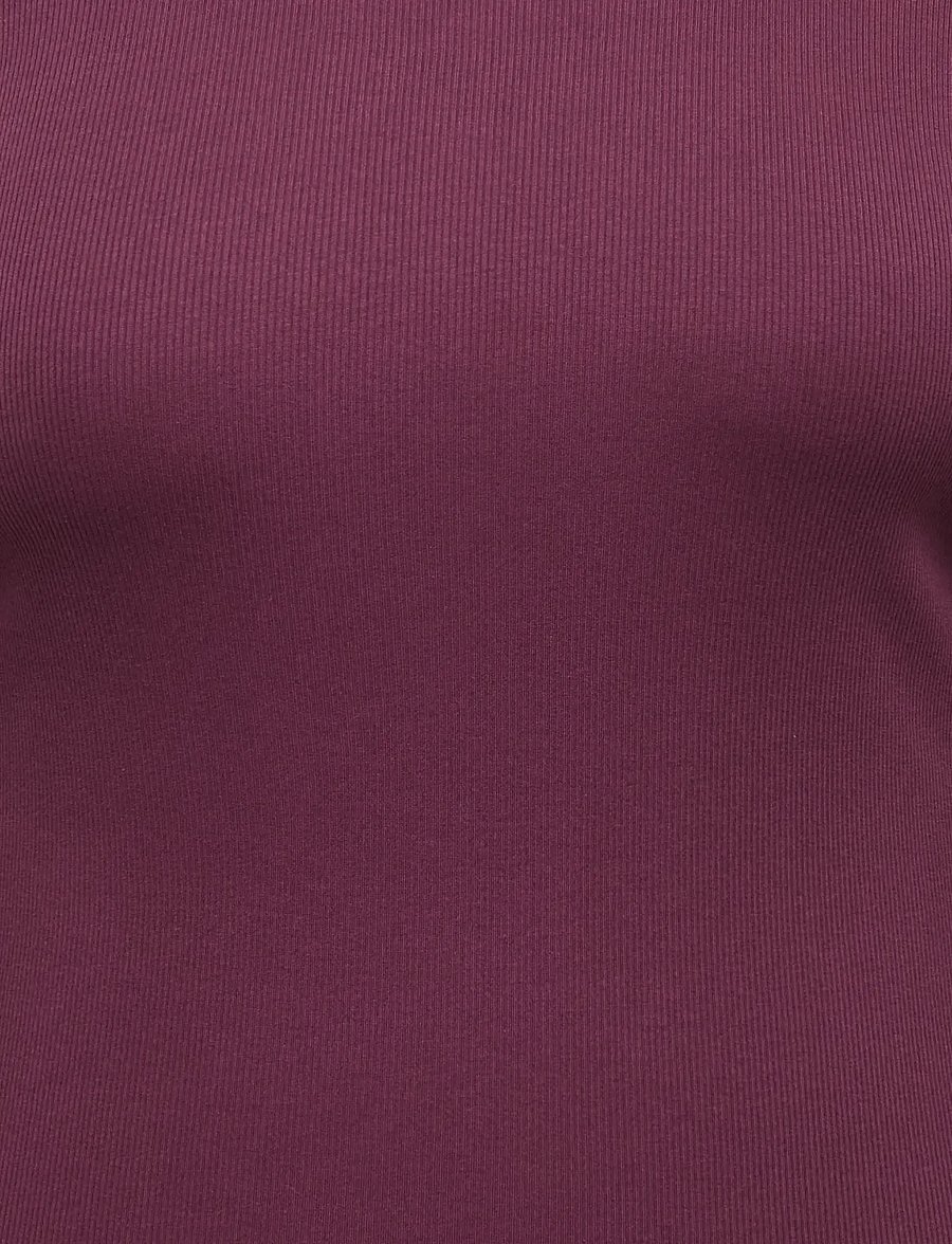 ONLY Carmakoma - CARVAL L/S O-NECK TOP JRS NOOS - langærmede toppe - fig - 2