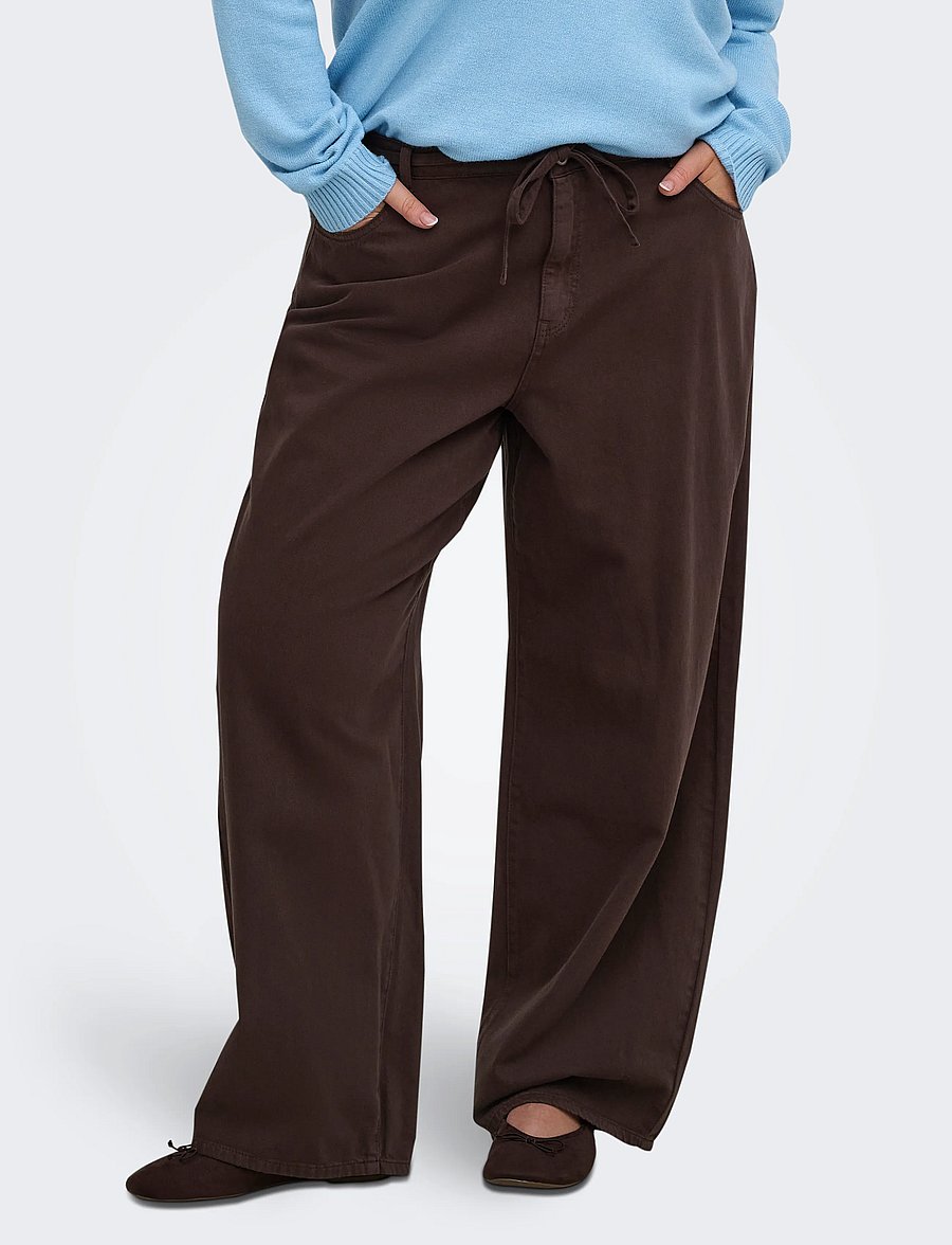 ONLY Carmakoma - CARGIANNA-SILLA MW STR BELT PANT PNTNOOS - coffee bean - 0