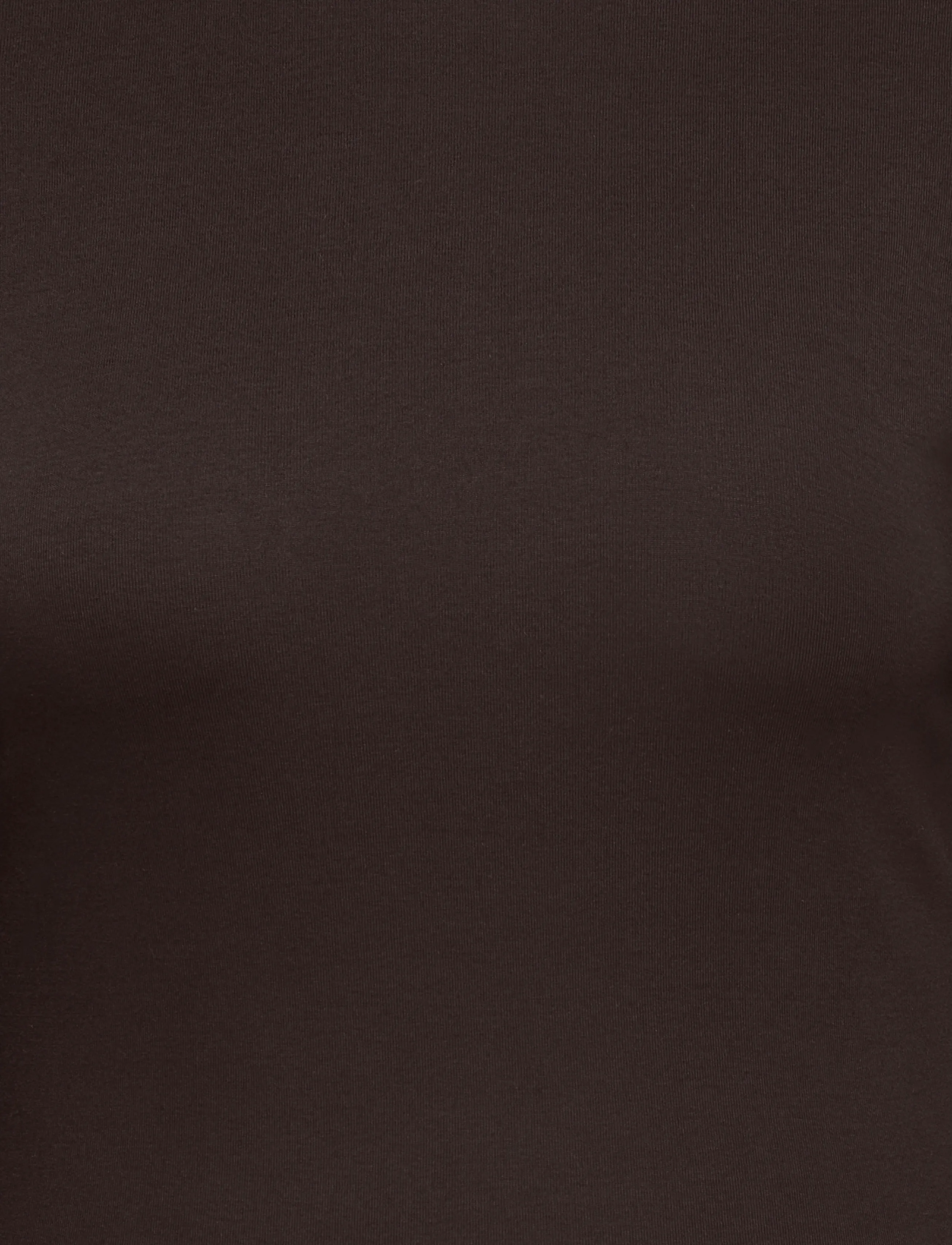ONLY Carmakoma - CARRILEY L/S O-NECK TOP JRS NOOS - langærmede toppe - black coffee - 2