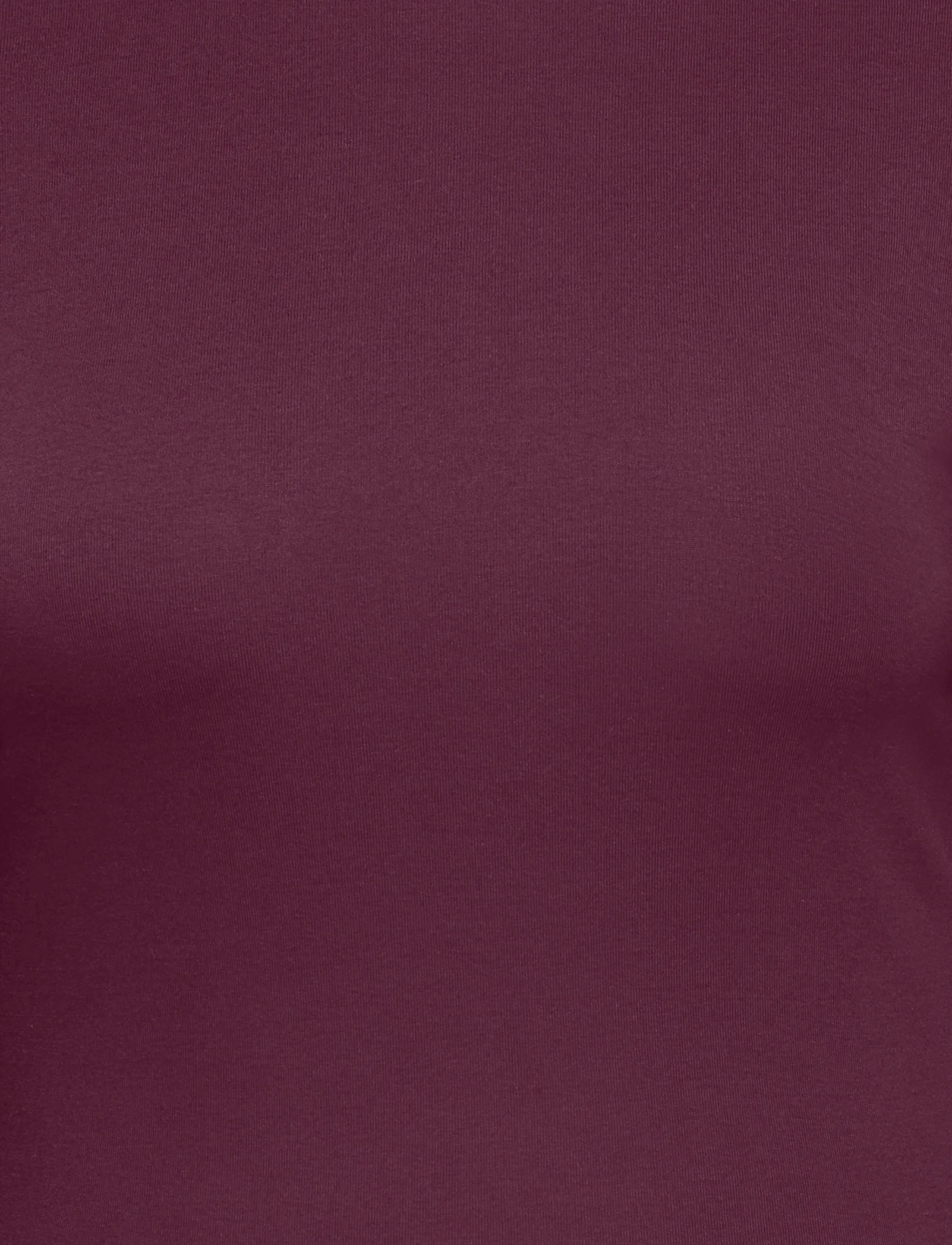 ONLY Carmakoma - CARRILEY L/S O-NECK TOP JRS NOOS - pikkade varrukatega alussärgid - winetasting - 2