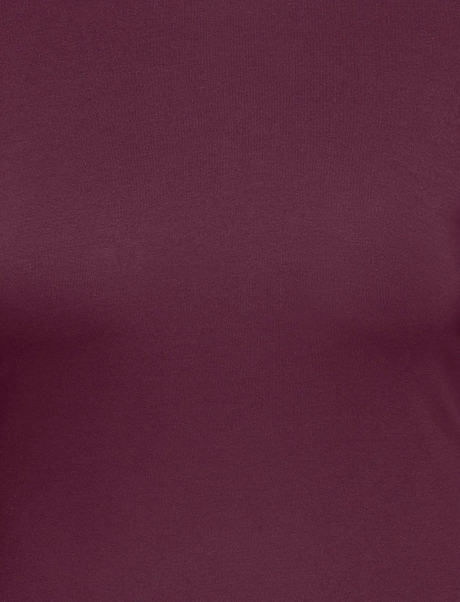 ONLY Carmakoma - CARRILEY L/S O-NECK TOP JRS NOOS - pikkade varrukatega alussärgid - winetasting - 2