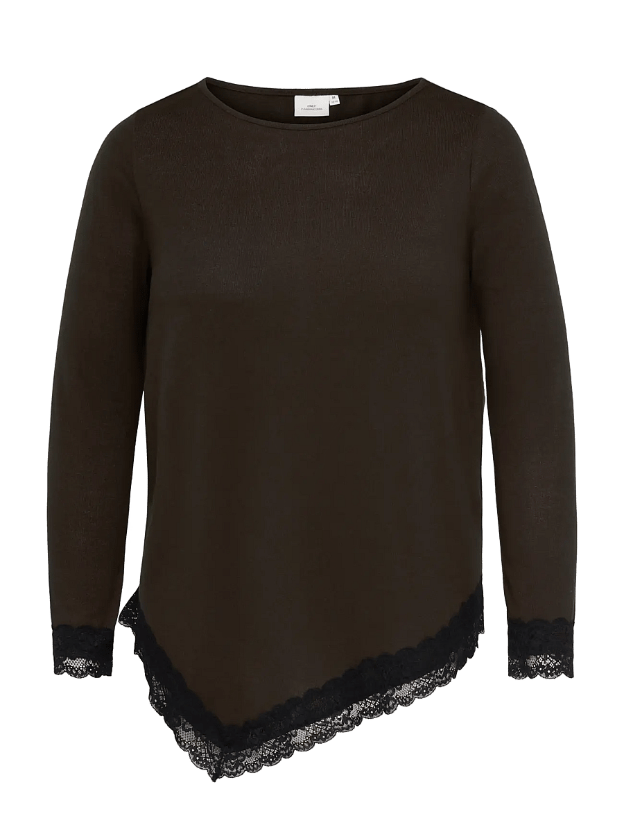 ONLY Carmakoma - CARALBA L/S ASSYMETRIC LACE BLOUSE JRS - coffee bean - 0