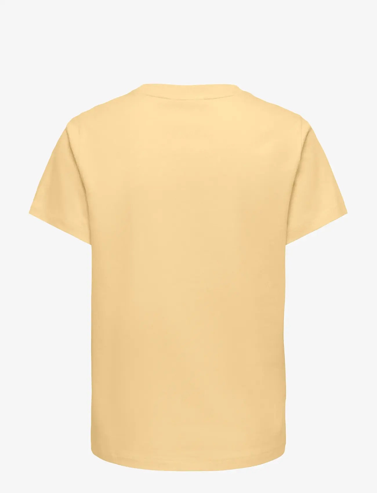 Only Maternity - OLMCHELSEA S/S EMB TOP BOX JRS - t-shirts - sunlight - 1