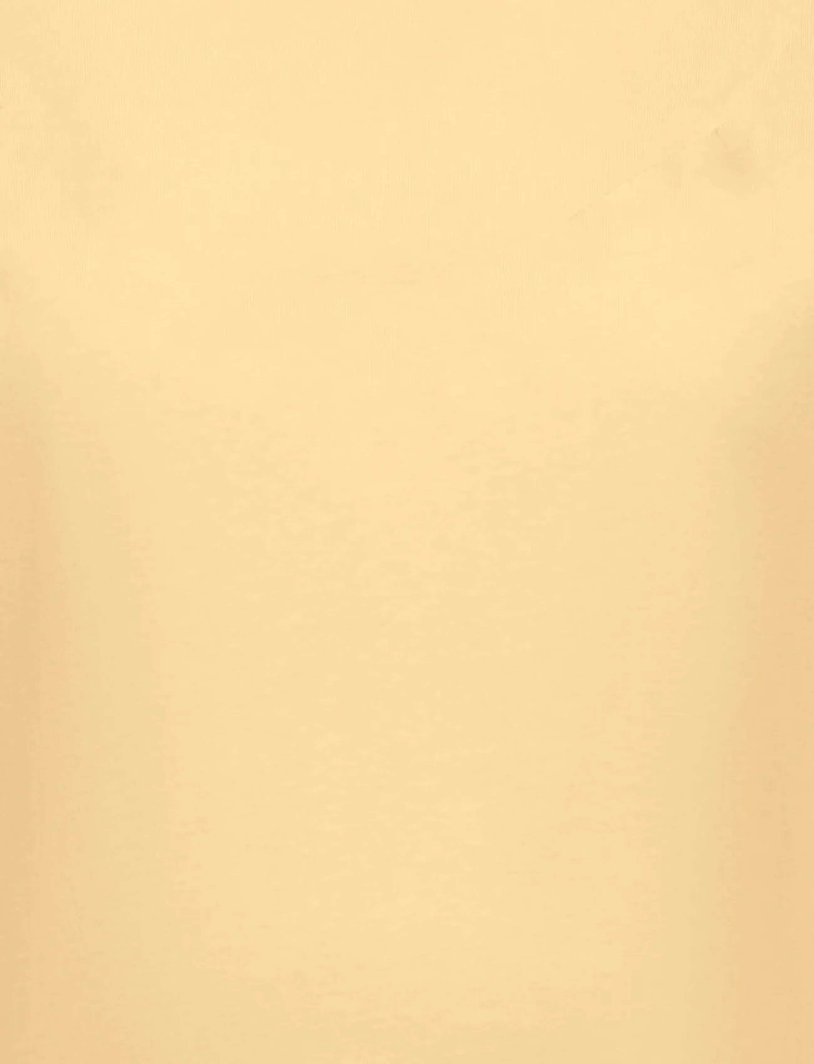 Only Maternity - OLMCHELSEA S/S EMB TOP BOX JRS - t-shirts - sunlight - 3