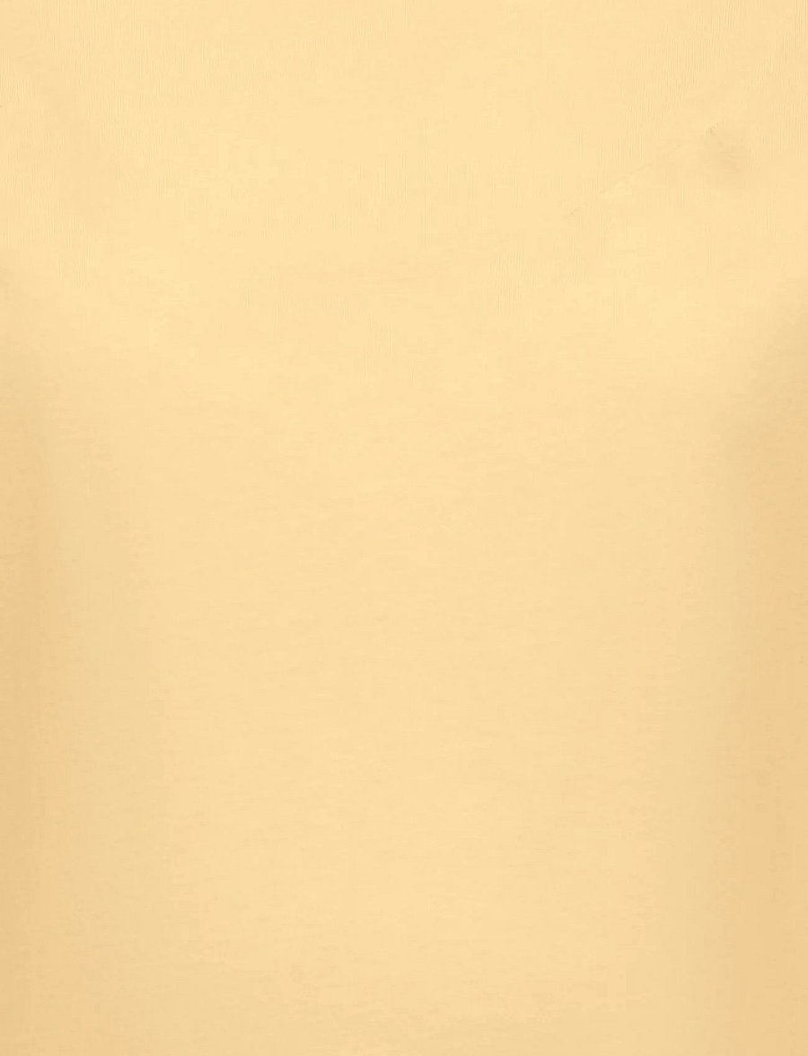Only Maternity - OLMCHELSEA S/S EMB TOP BOX JRS - t-shirts - sunlight - 3