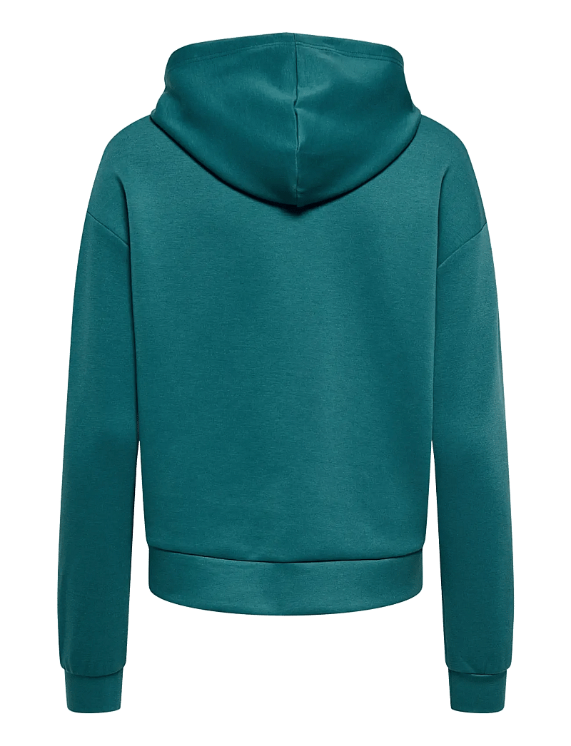 Only Play - ONPLOUNGE HOOD LS SWT NOOS - oberteile - mediterranea - 2