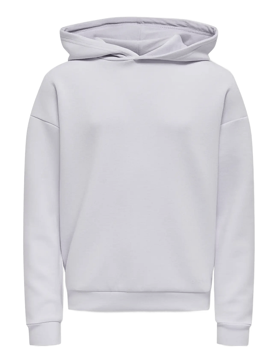 Only Play - ONPLOUNGE LIFE HOOD LS SWT GIRLS - kapuzenpullover - evening haze - 0