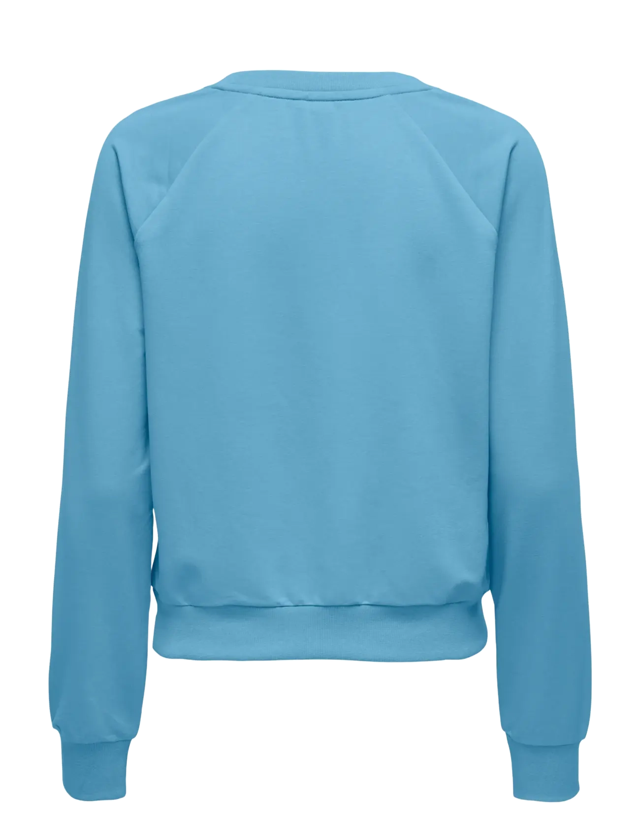 Only Play - ONPFREI LIFE EMBR ON LS SWT - sweats et sweats à capuche - niagara - 1