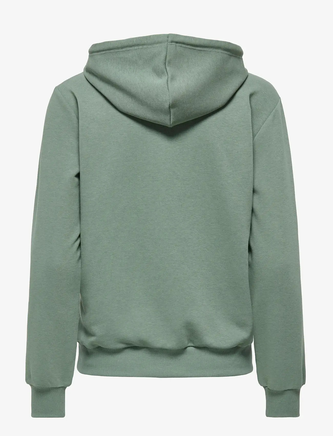 Only Play - ONPCAVA LIFE HOOD LS LOOSE SWT - hoodies - laurel wreath - 2