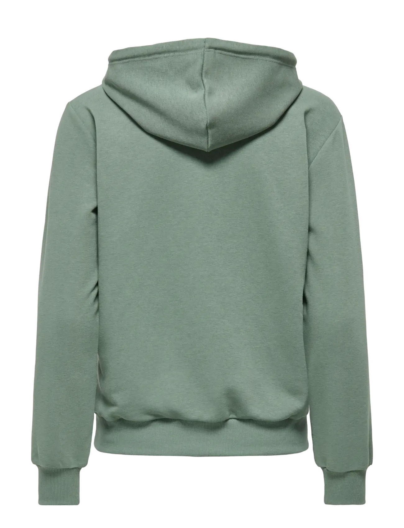 Only Play - ONPCAVA LIFE HOOD LS LOOSE SWT - hættetrøjer - laurel wreath - 2