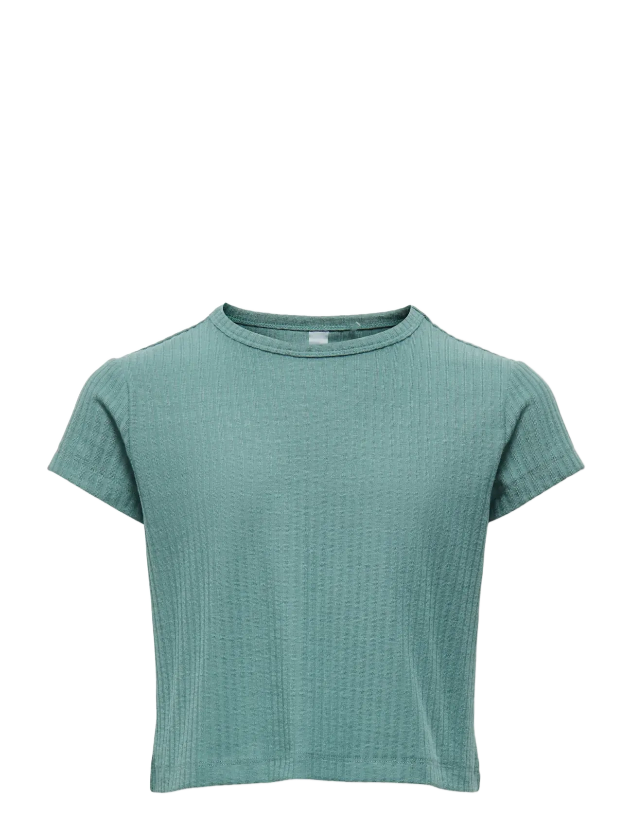 Only Play ONPSEREN ON SS REG RIB TEE GIRLS - Kläder - SAGEBRUSH GREEN / green