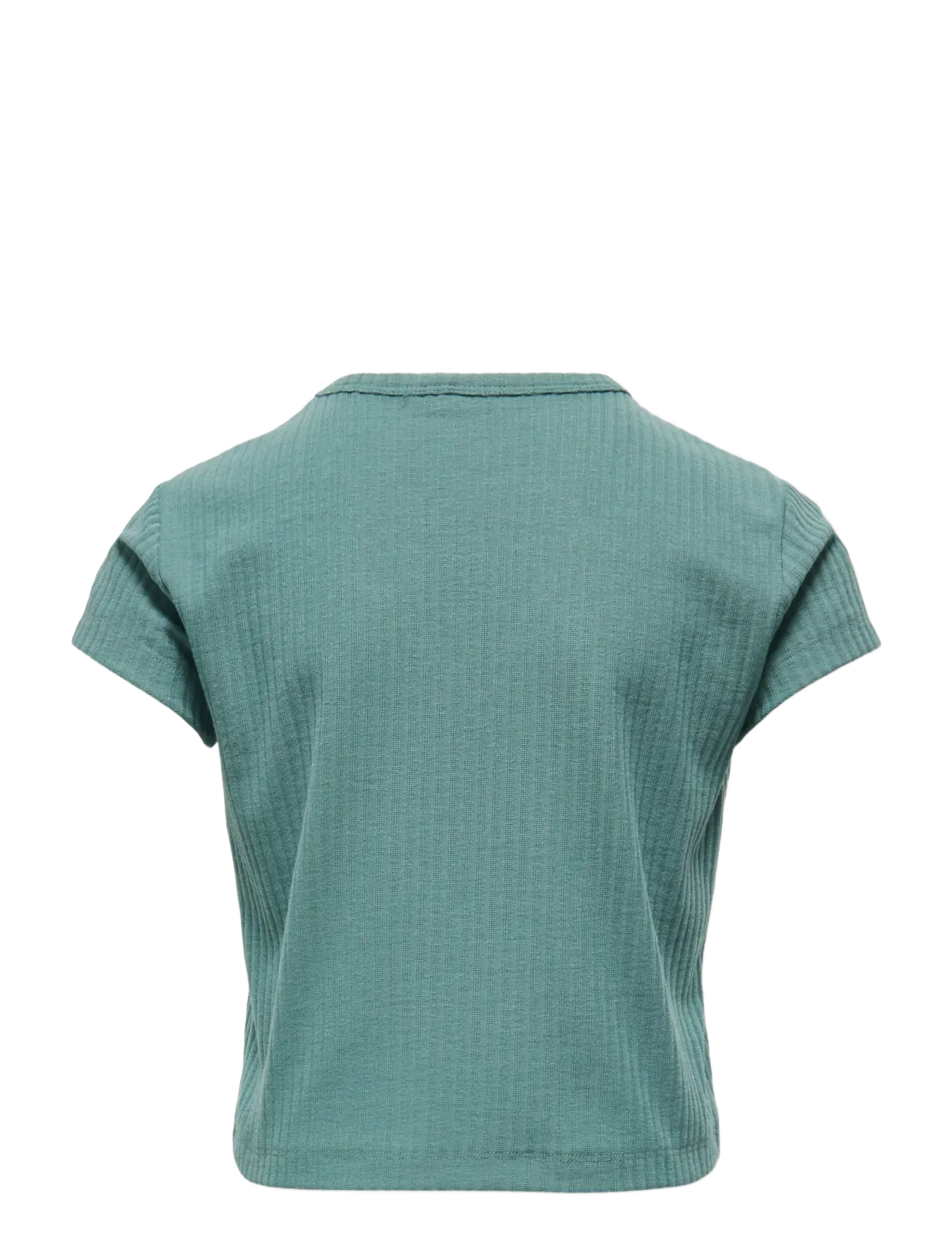 Only Play - ONPSEREN ON SS REG RIB TEE GIRLS - t-shirts - sagebrush green - 1