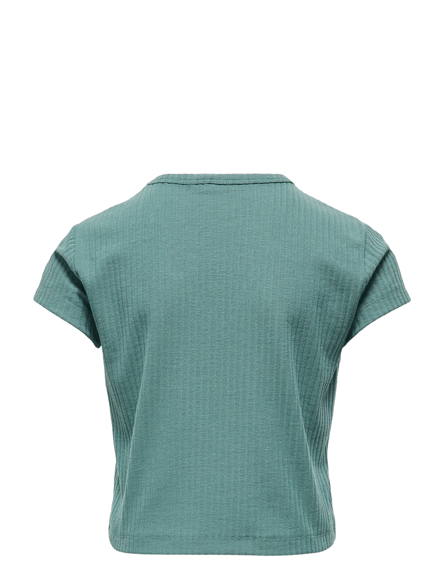 Only Play - ONPSEREN ON SS REG RIB TEE GIRLS - t-shirts - sagebrush green - 1