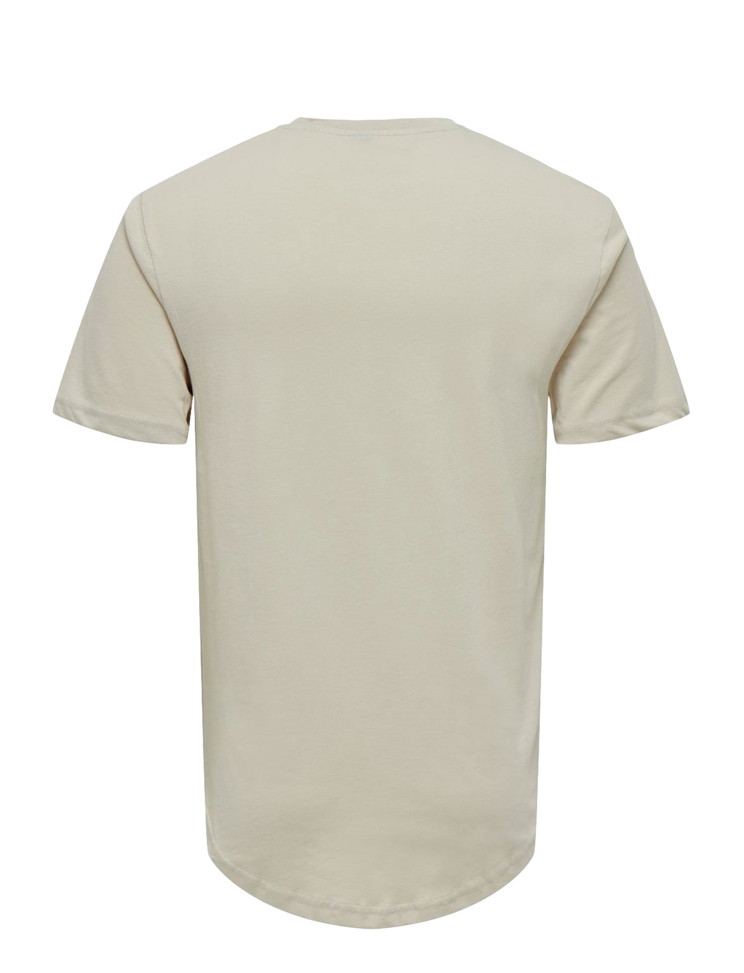 ONLY & SONS - ONSMATT LONGY SS TEE NOOS - kortærmede t-shirts - silver lining - 2