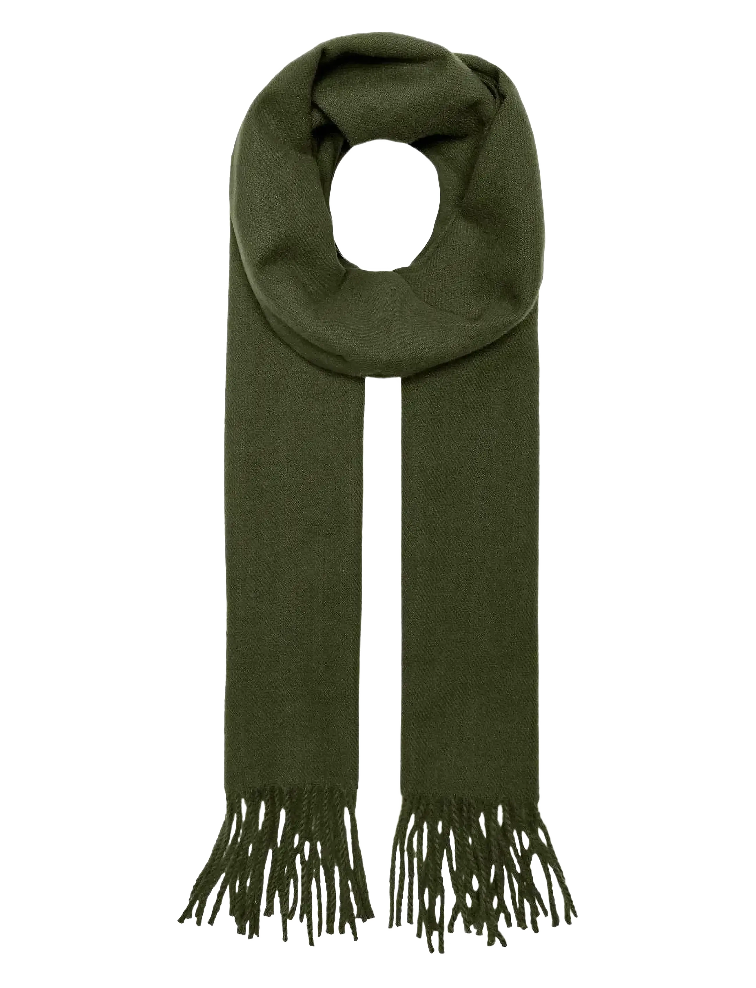 OLIVE NIGHT
