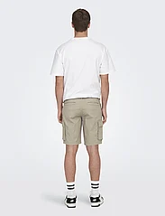 ONLY & SONS - ONSCAM STAGE CARGO SHORTS 6689 LIFE NOOS - alhaisimmat hinnat - chinchilla - 3