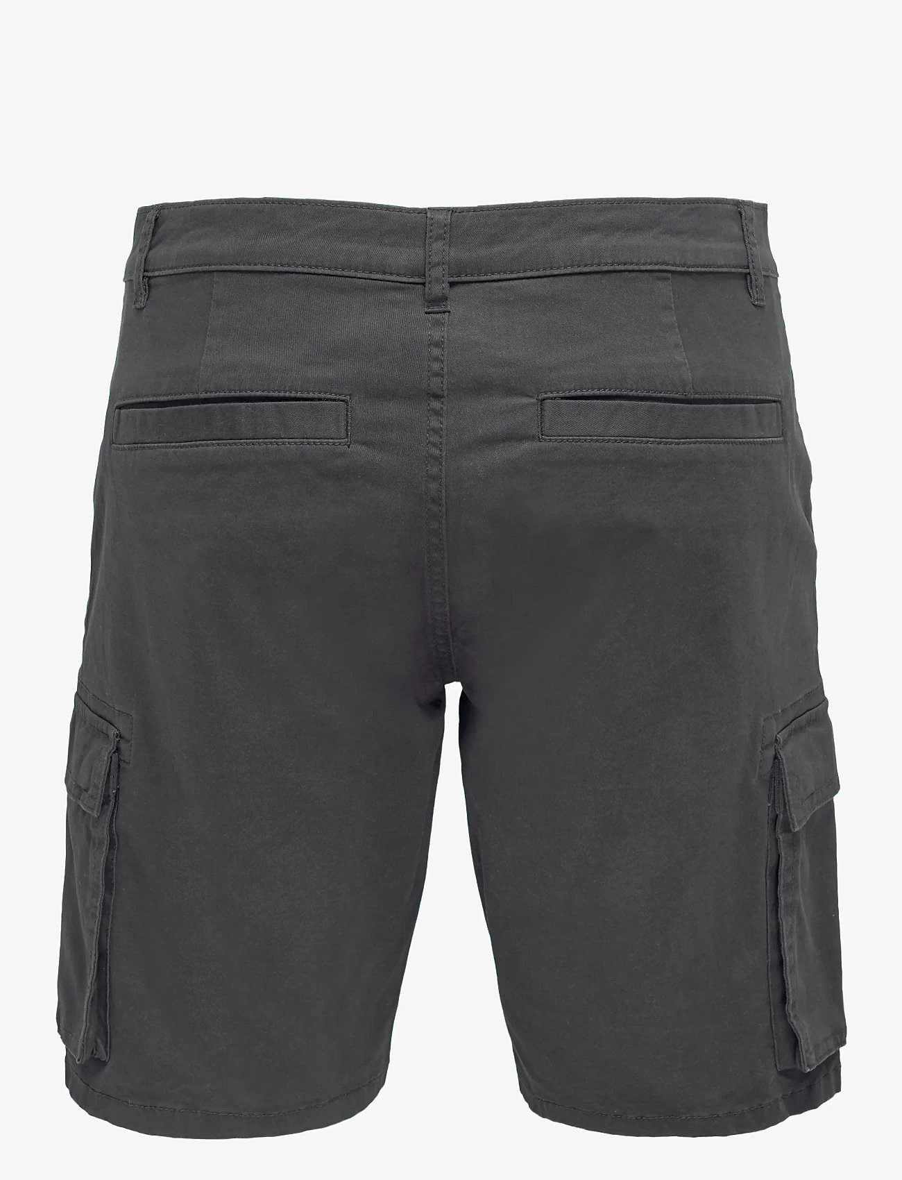 ONLY & SONS - ONSCAM STAGE CARGO SHORTS 6689 LIFE NOOS - cargo shorts - grey pinstripe - 2