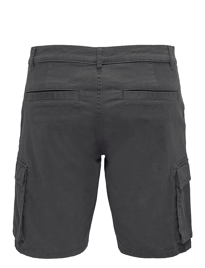ONLY & SONS - ONSCAM STAGE CARGO SHORTS 6689 LIFE NOOS - cargo shorts - grey pinstripe - 2