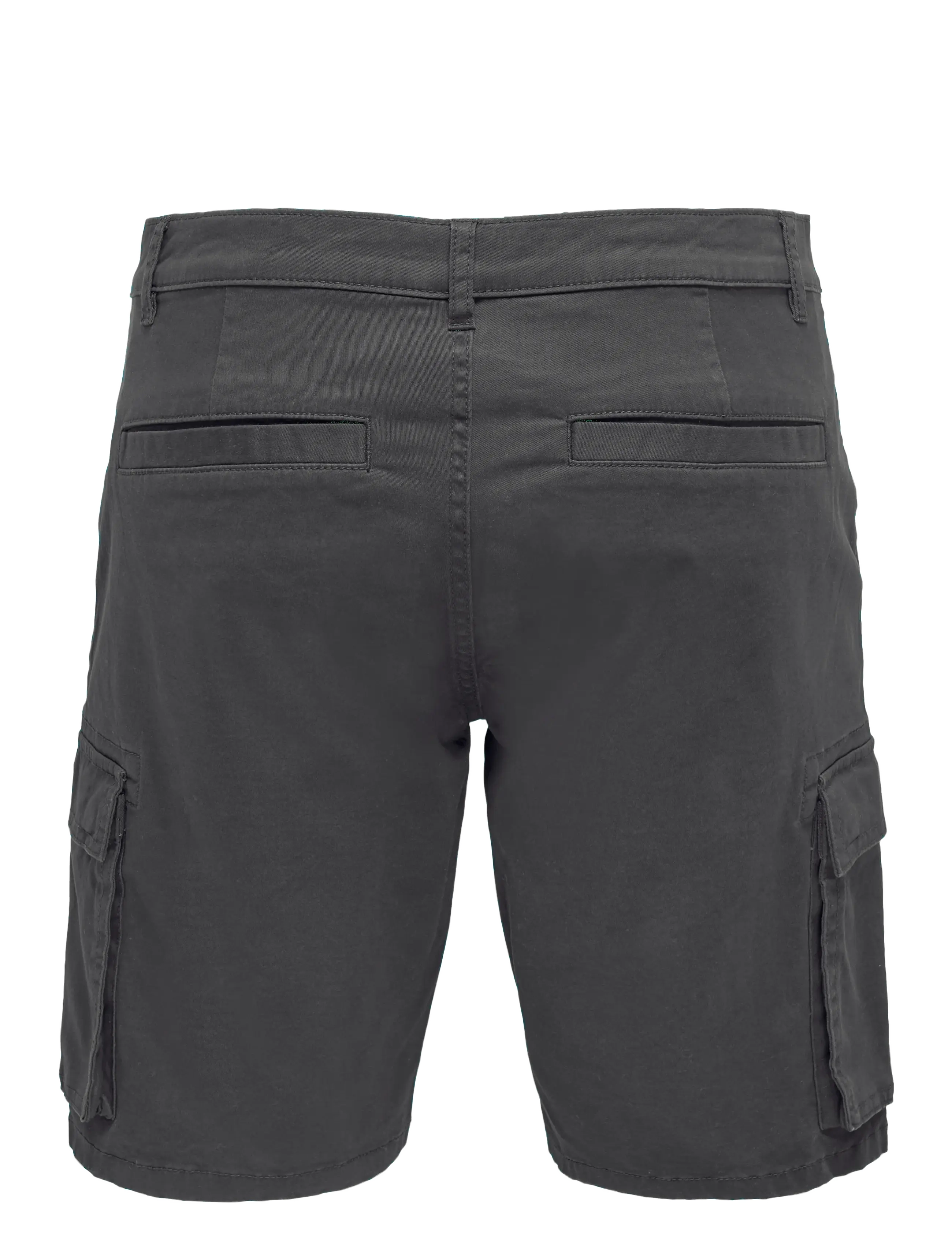 ONLY & SONS - ONSCAM STAGE CARGO SHORTS 6689 LIFE NOOS - cargo shorts - grey pinstripe - 2