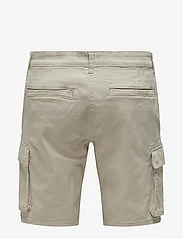 ONLY & SONS - ONSCAM STAGE CARGO SHORTS 6689 LIFE NOOS - de laveste prisene - silver lining - 1