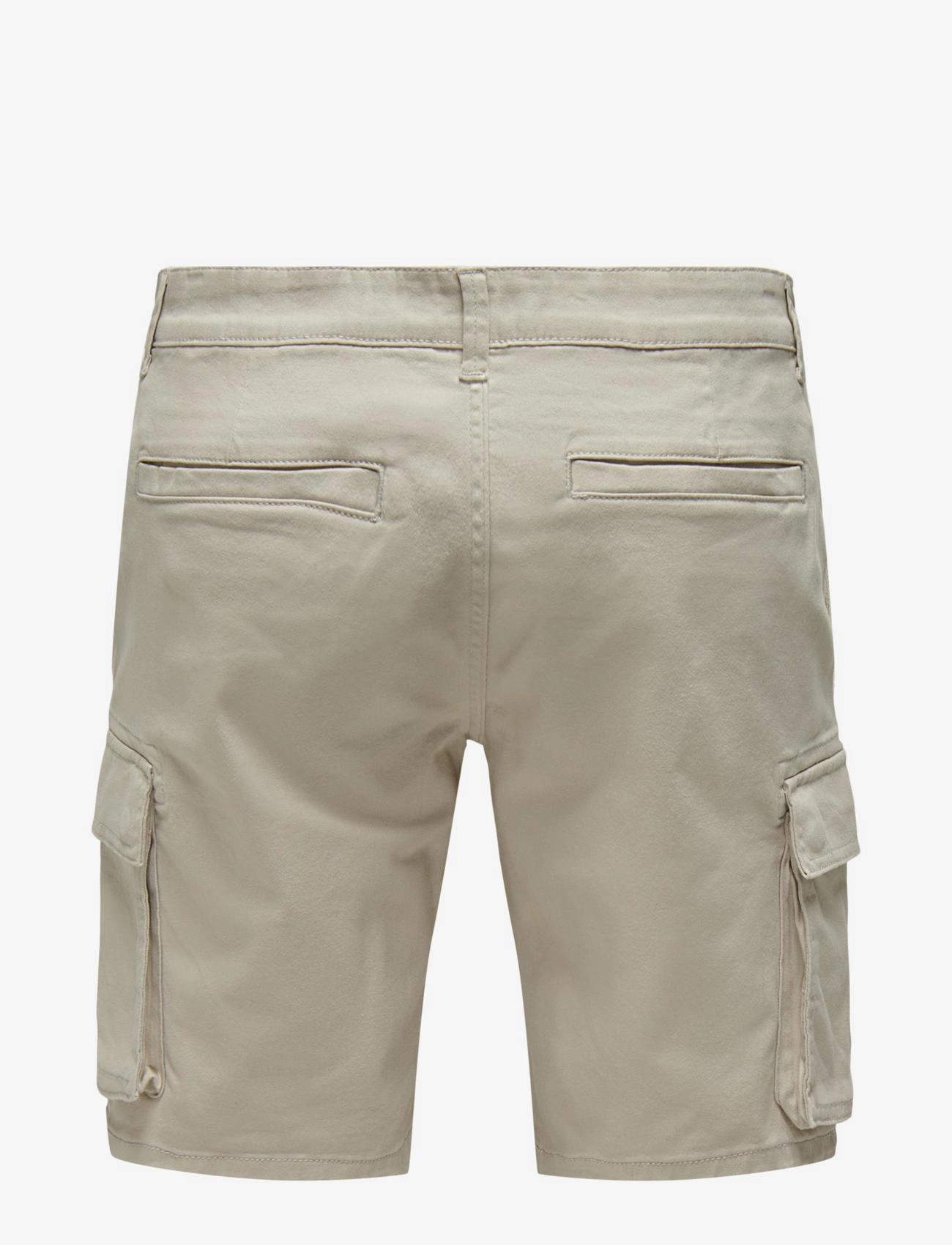 ONLY & SONS - ONSCAM STAGE CARGO SHORTS 6689 LIFE NOOS - cargo shorts - silver lining - 2