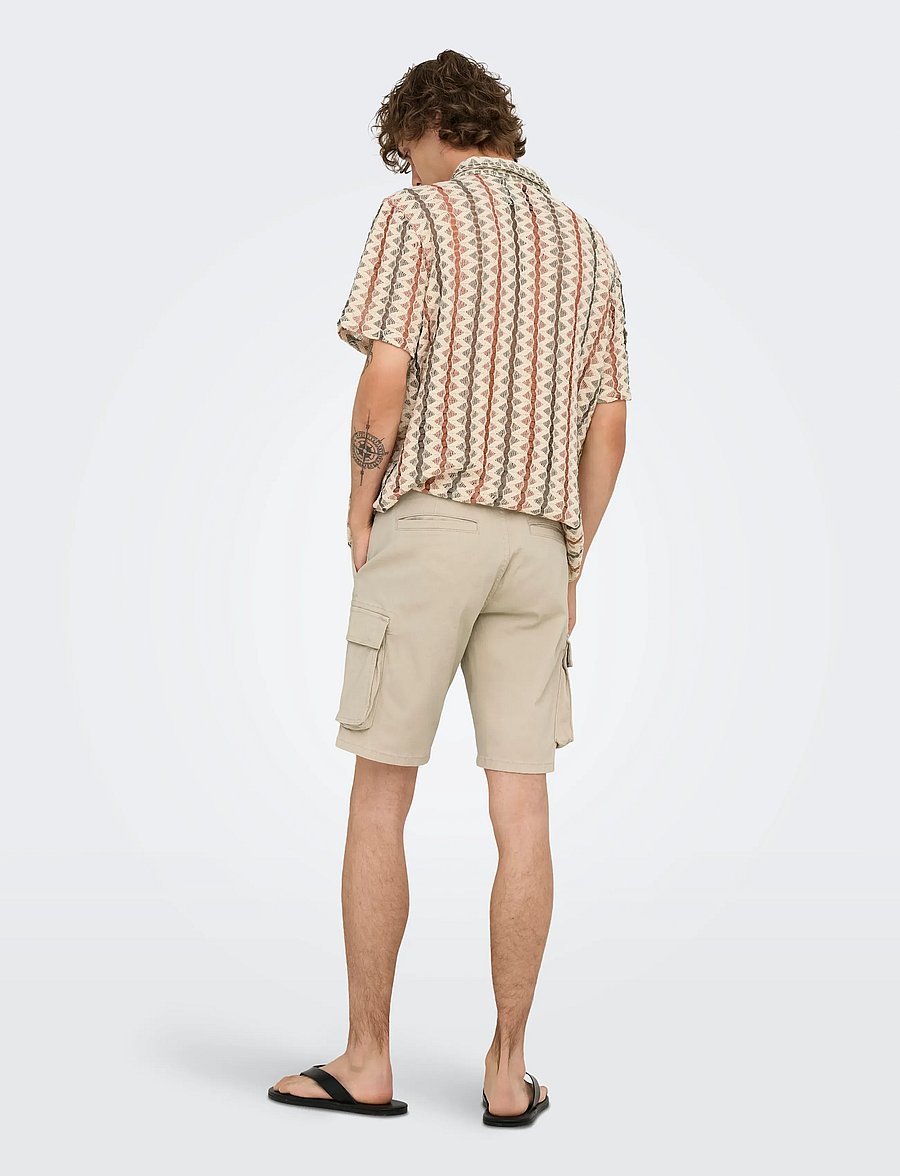 ONLY & SONS - ONSCAM STAGE CARGO SHORTS 6689 LIFE NOOS - cargo shorts - silver lining - 3