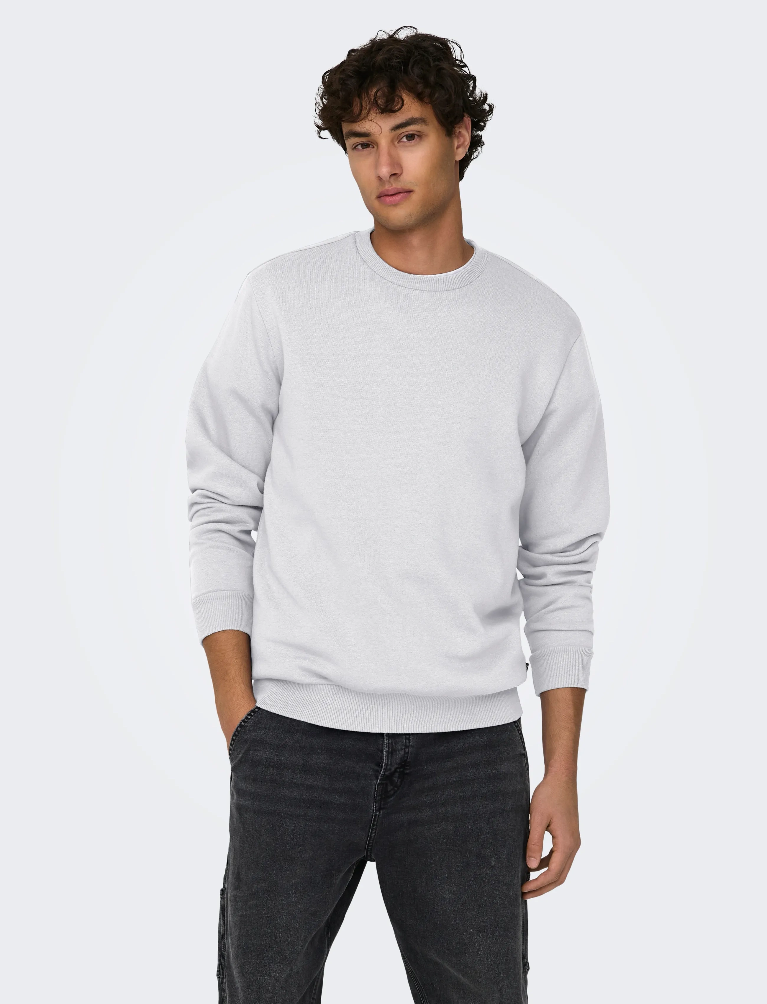 ONLY & SONS ONSCERES CREW NECK NOOS - Dressipluusid - SUPER LIGHT GREY MELANGE / grey