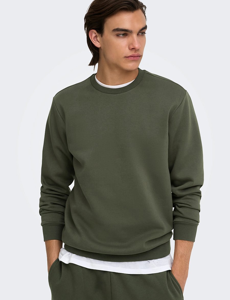 ONLY & SONS - ONSCERES CREW NECK NOOS - sweatshirts - beluga - 5