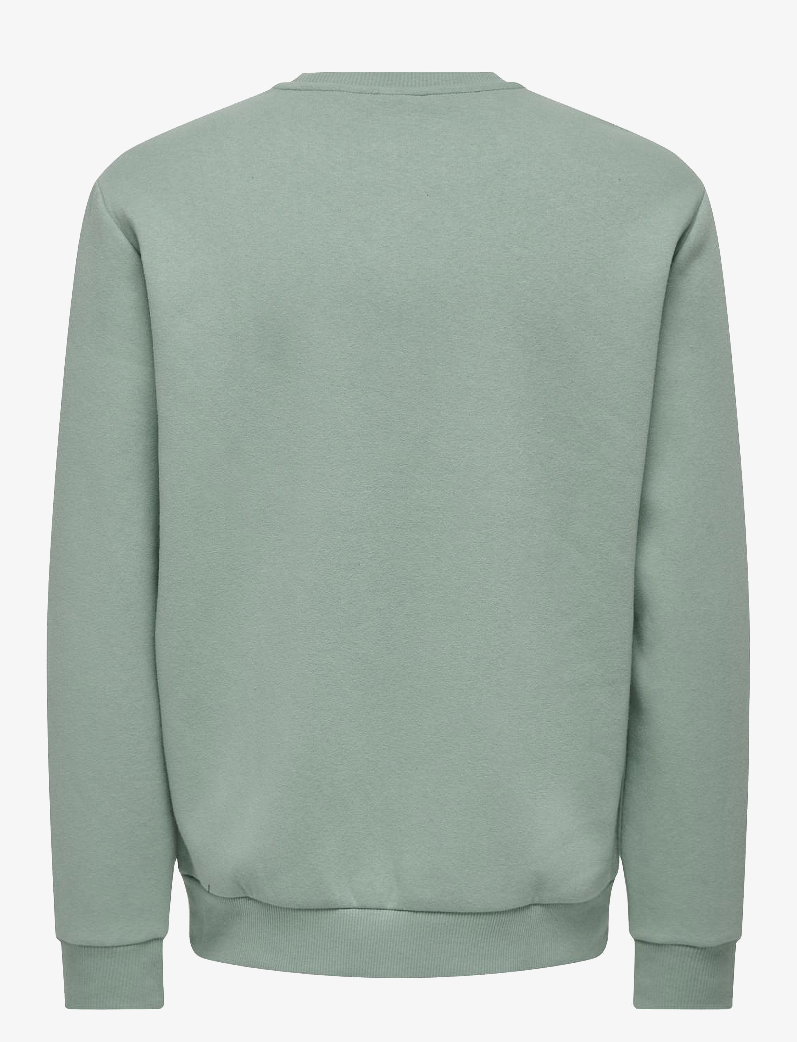 ONLY & SONS - ONSCERES CREW NECK NOOS - collections - chinois green - 2