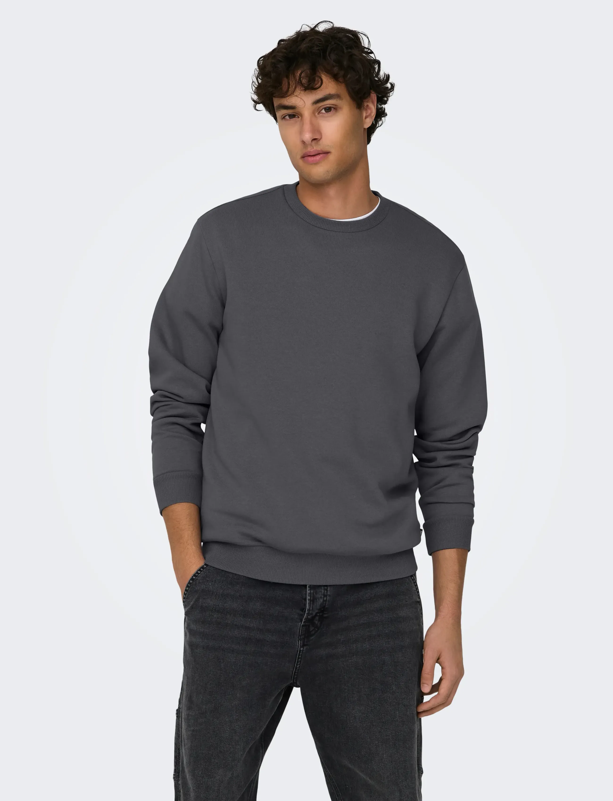 ONLY & SONS Onsceres Crew Neck Noos, Mænd, Rundhalset Sweatshirt, Grå, Str: L
