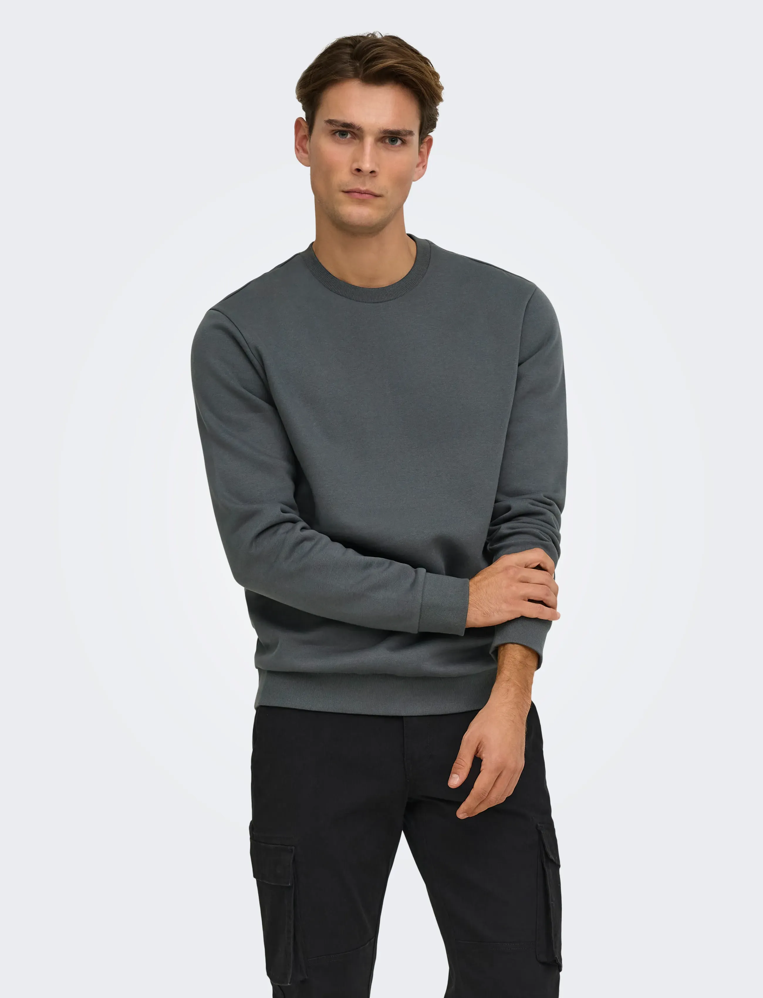 ONLY & SONS ONSCERES CREW NECK NOOS - Sweatshirts & Hoodies - GREY PINSTRIPE / grey
