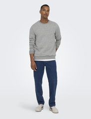 ONLY & SONS - ONSCERES CREW NECK NOOS - lowest prices - light grey melange - 4