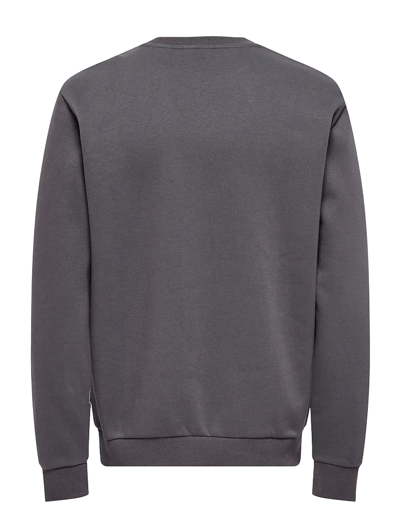ONLY & SONS - ONSCERES CREW NECK NOOS - kollektioner - rabbit - 1