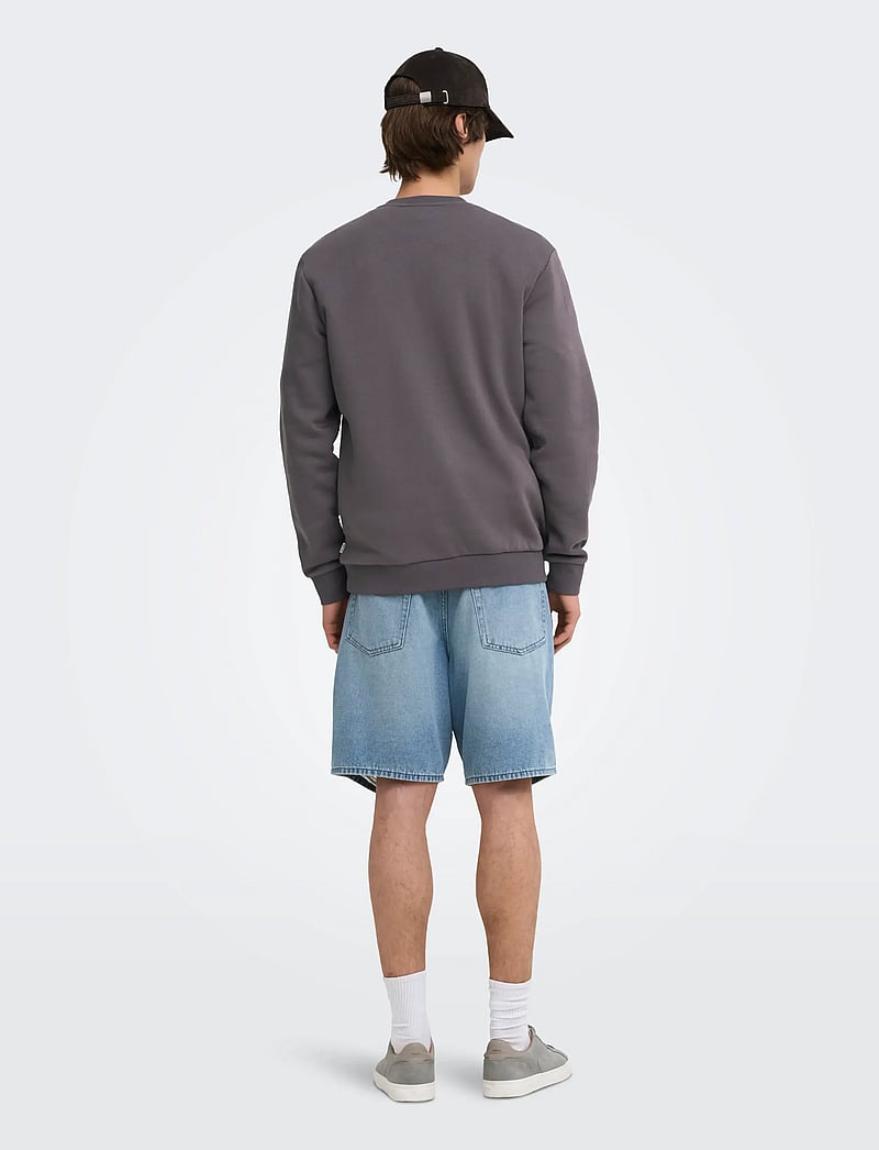ONLY & SONS - ONSCERES CREW NECK NOOS - kollektioner - rabbit - 3