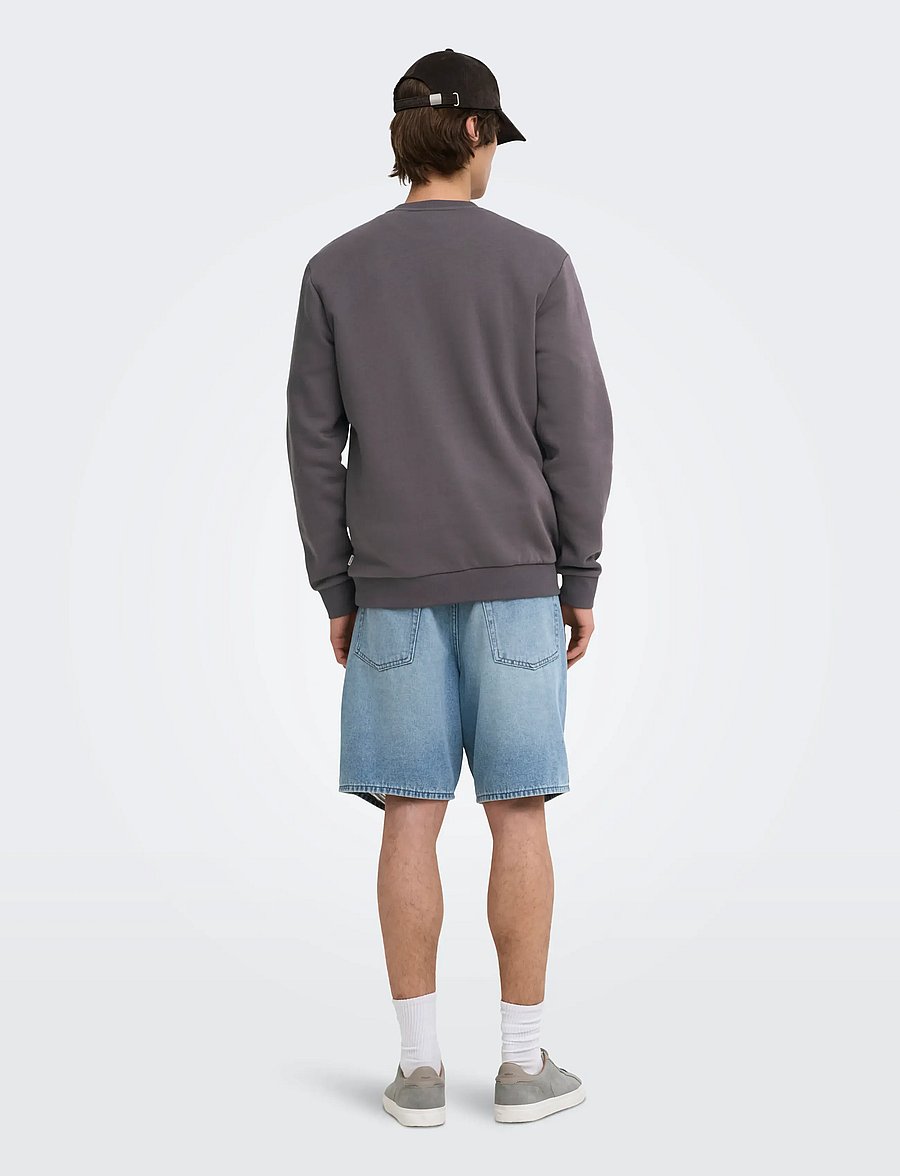ONLY & SONS - ONSCERES CREW NECK NOOS - kollektioner - rabbit - 3