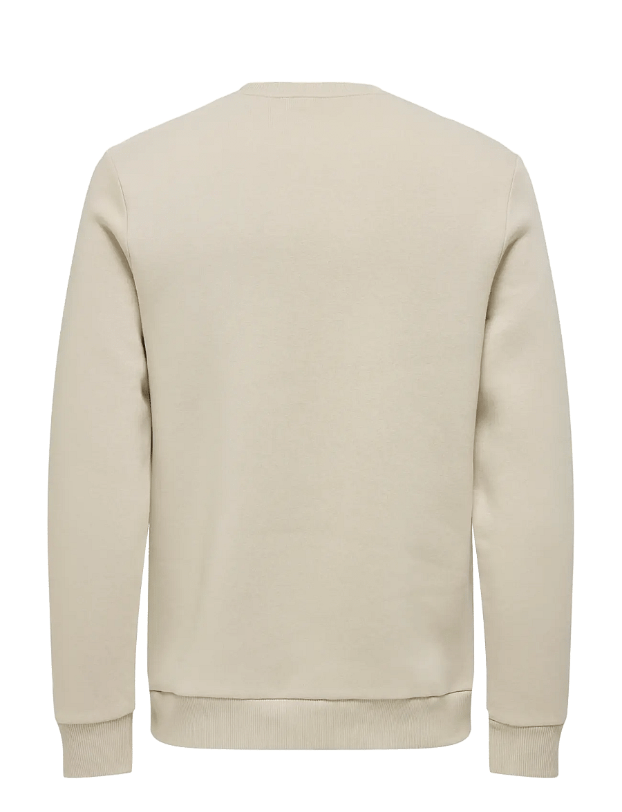 ONLY & SONS - ONSCERES CREW NECK NOOS - collegepaidat - silver lining - 2