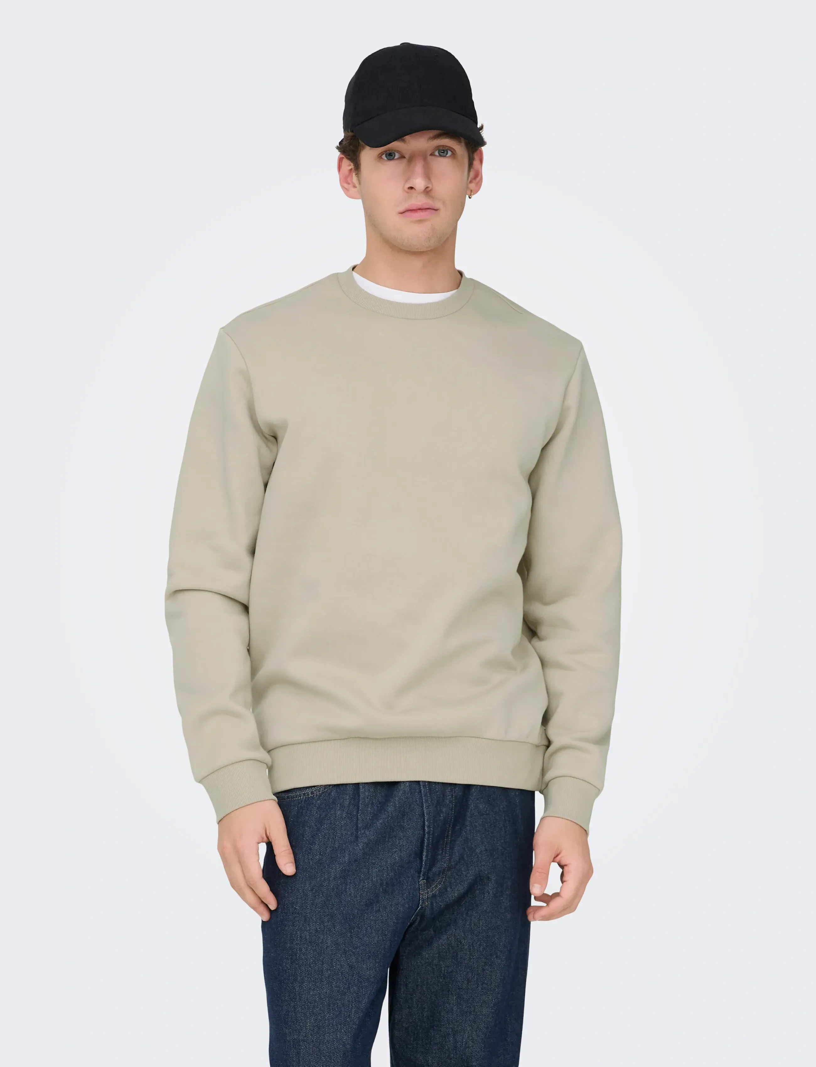ONLY & SONS ONSCERES CREW NECK NOOS - Truien en hoodies - SILVER LINING / beige