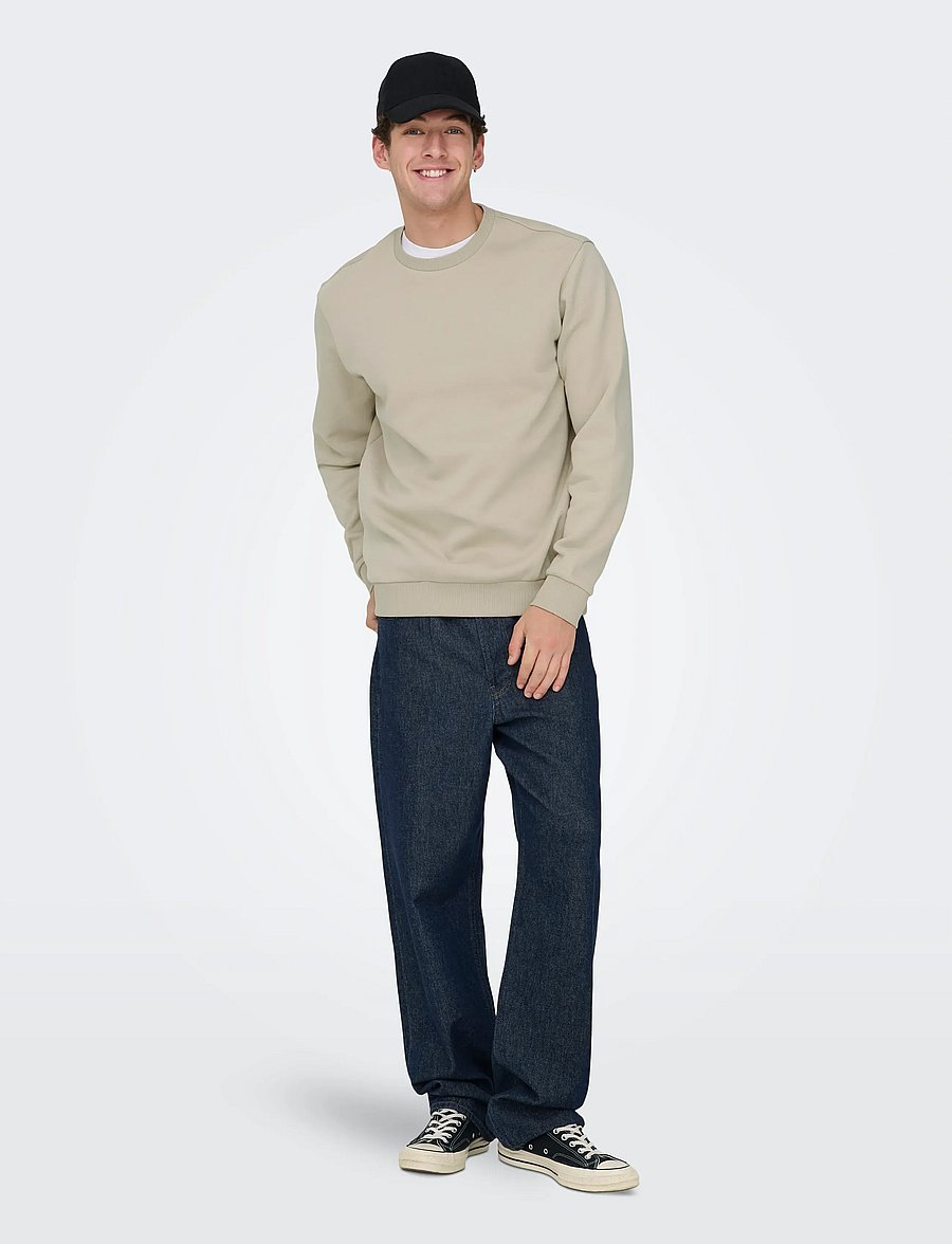 ONLY & SONS - ONSCERES CREW NECK NOOS - collegepaidat - silver lining - 4