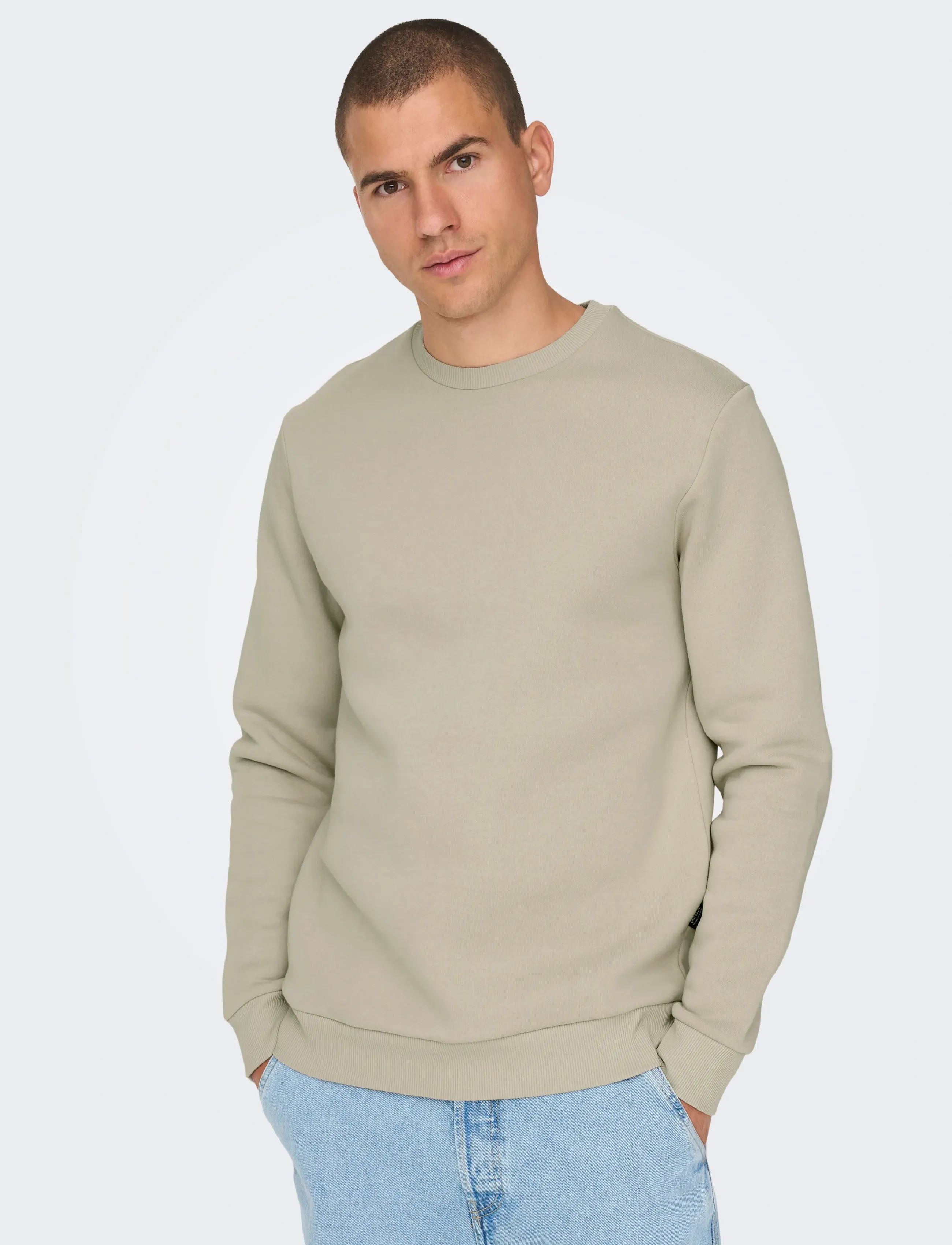 ONLY & SONS - ONSCERES CREW NECK NOOS - collegepaidat - silver lining - 5