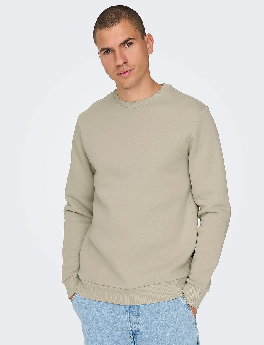 ONLY & SONS - ONSCERES CREW NECK NOOS - collegepaidat - silver lining - 5