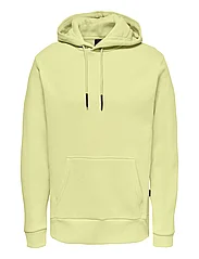 ONLY & SONS - ONSCERES HOODIE SWEAT NOOS - alhaisimmat hinnat - chardonnay - 0