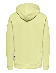 ONLY & SONS - ONSCERES HOODIE SWEAT NOOS - lowest prices - chardonnay - 1