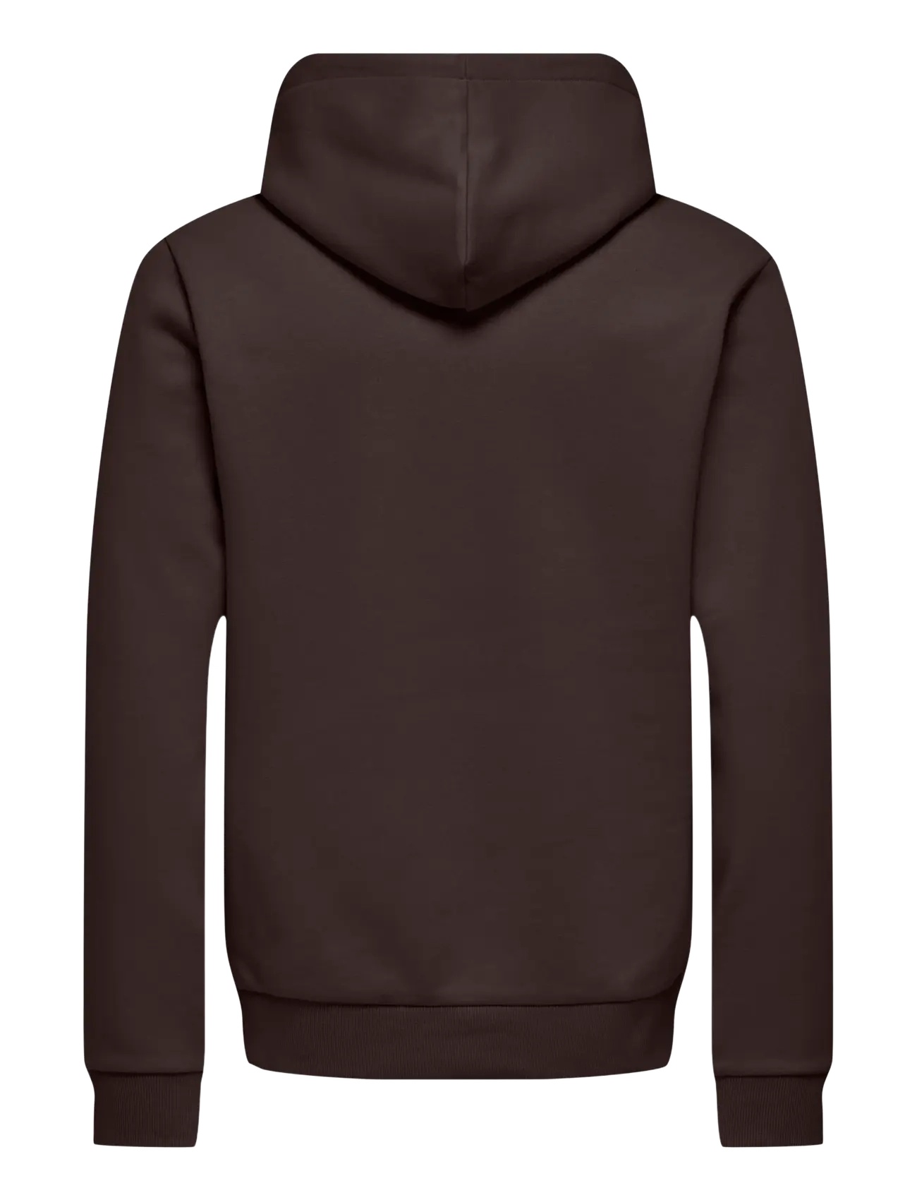 ONLY & SONS - ONSCERES HOODIE SWEAT NOOS - hoodies - coffee bean - 2