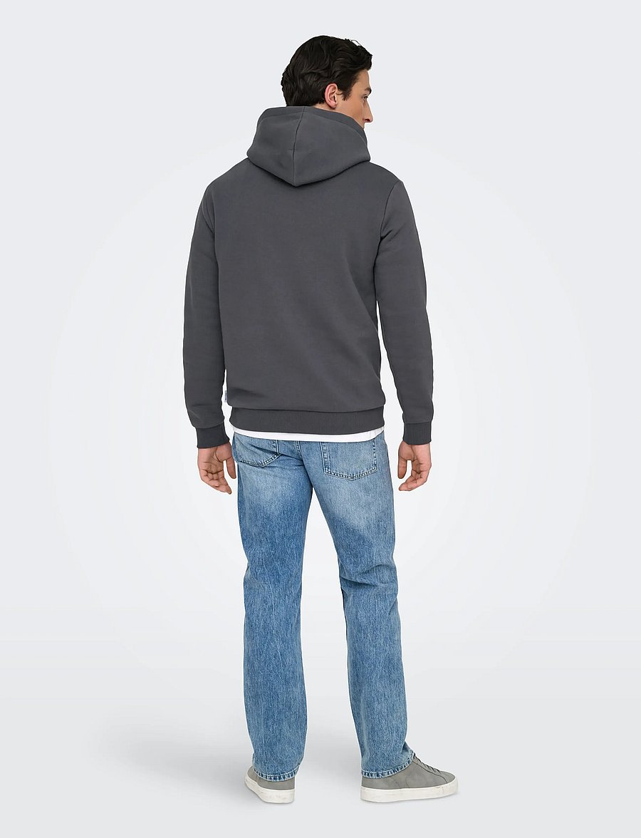 ONLY & SONS - ONSCERES HOODIE SWEAT NOOS - kapuzenpullover - grey pinstripe - 3