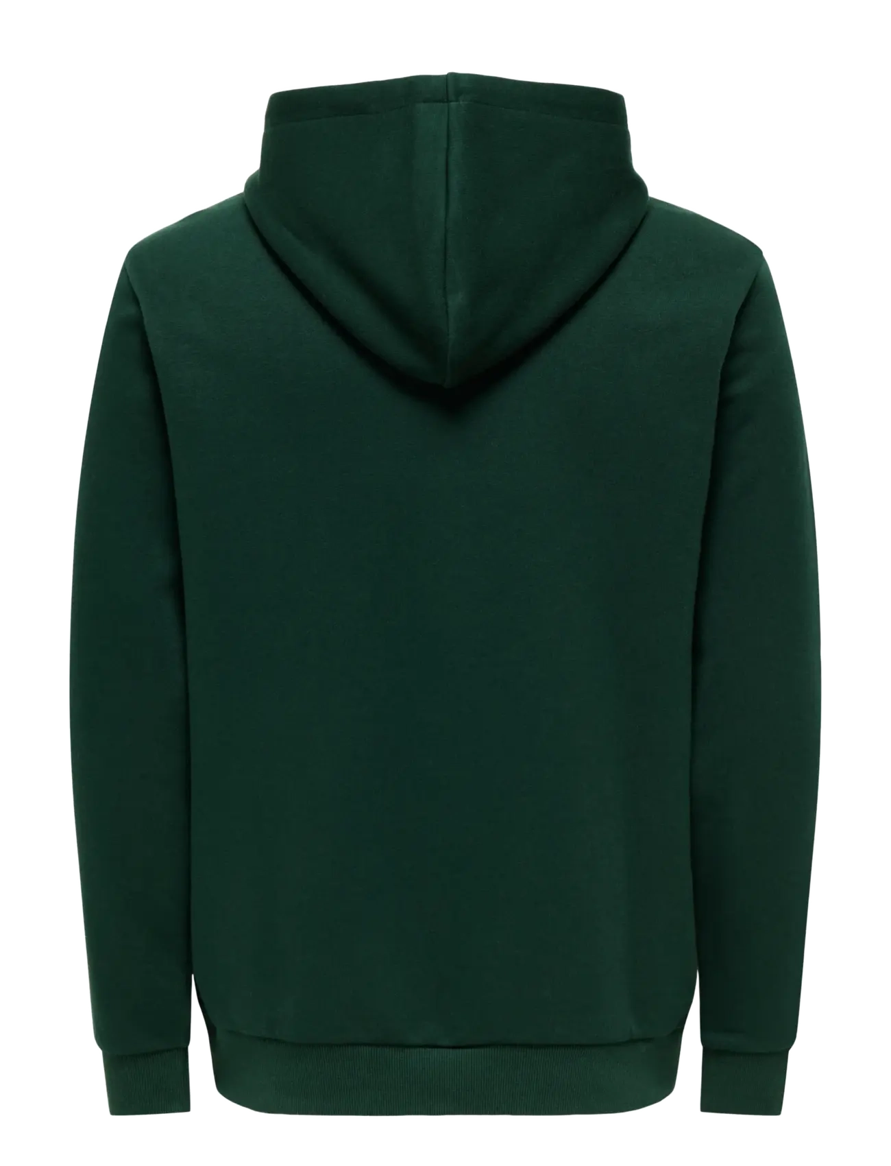 ONLY & SONS - ONSCERES HOODIE SWEAT NOOS - hættetrøjer - pine grove - 2