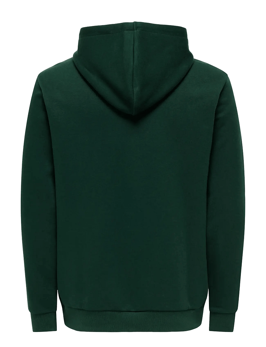ONLY & SONS - ONSCERES HOODIE SWEAT NOOS - kapuzenpullover - pine grove - 2