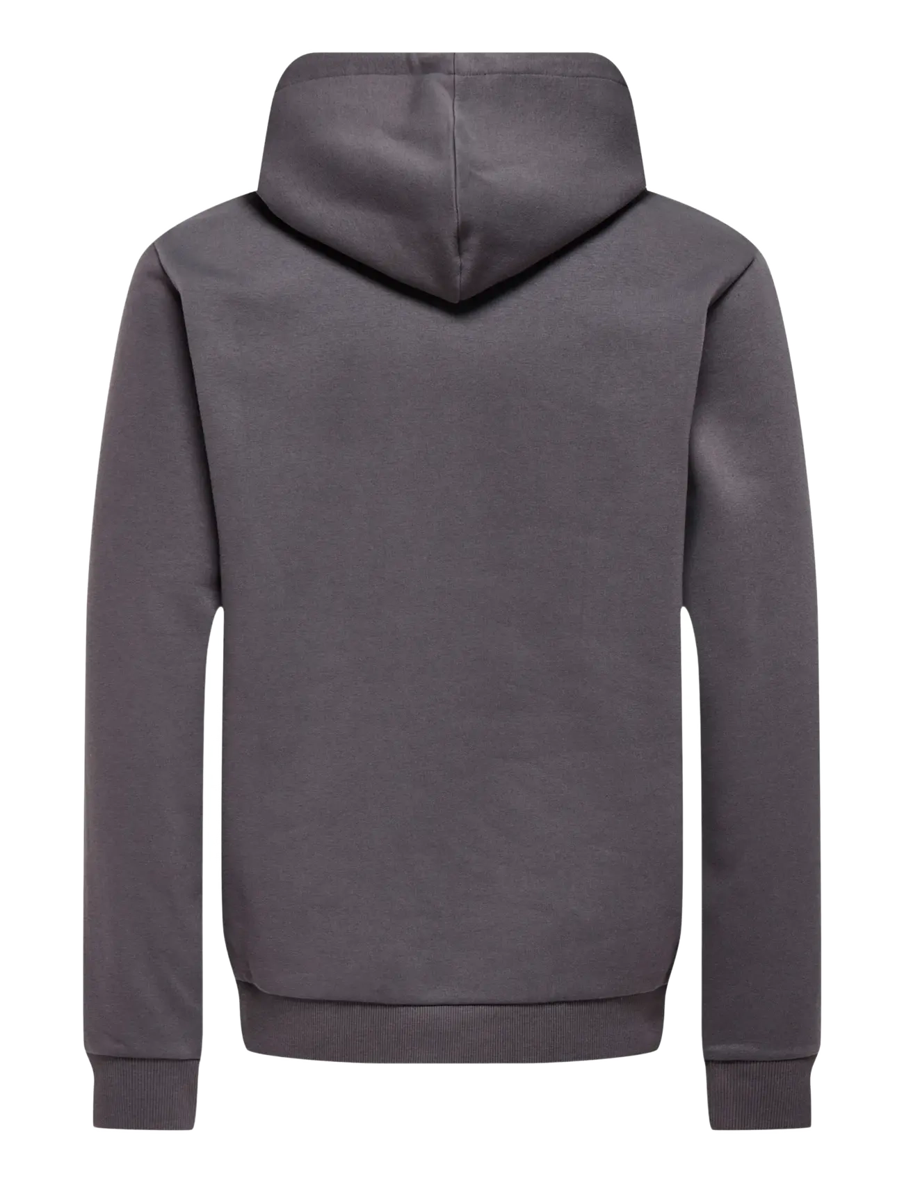 ONLY & SONS - ONSCERES HOODIE SWEAT NOOS - kapuutsiga pusad - rabbit - 2
