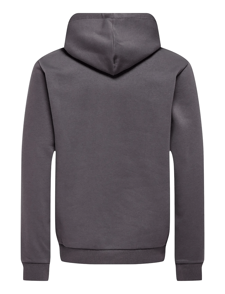 ONLY & SONS - ONSCERES HOODIE SWEAT NOOS - kapuzenpullover - rabbit - 2