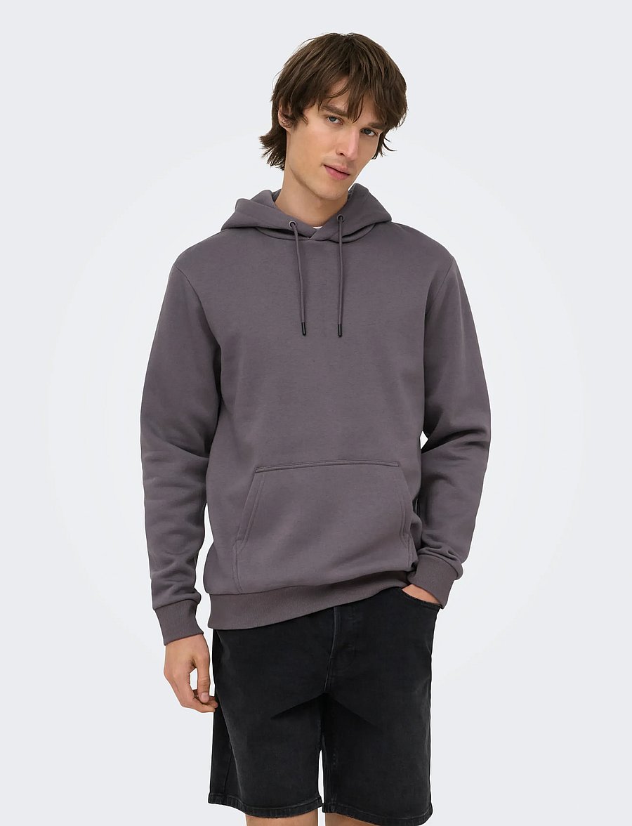 ONLY & SONS - ONSCERES HOODIE SWEAT NOOS - kapuzenpullover - rabbit - 0