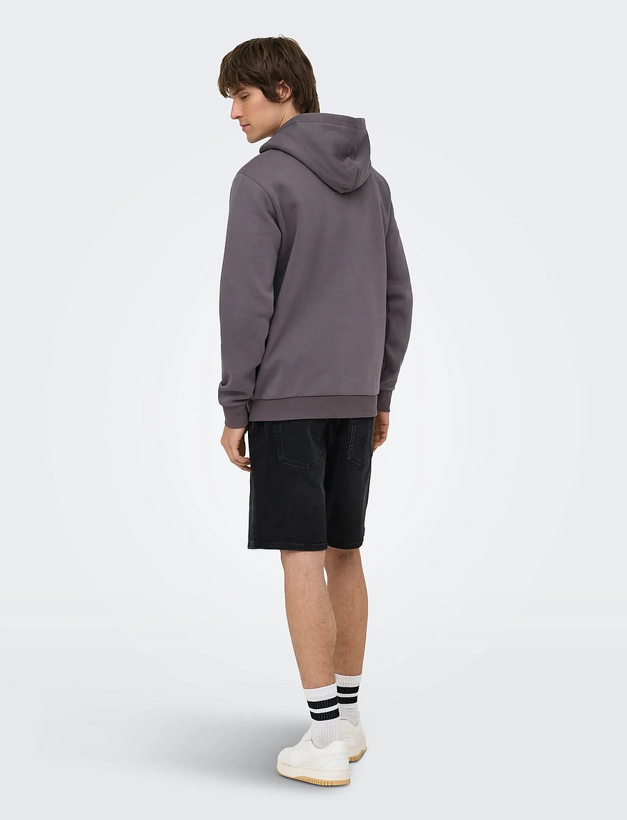 ONLY & SONS - ONSCERES HOODIE SWEAT NOOS - kapuzenpullover - rabbit - 3